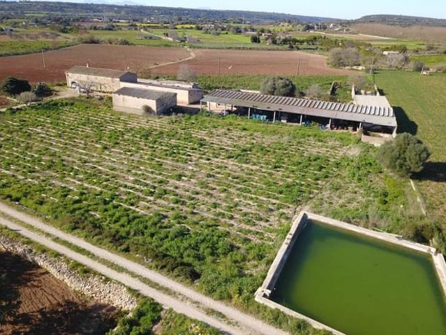 Finca/Casa Rural en venta en Manacor, Mallorca