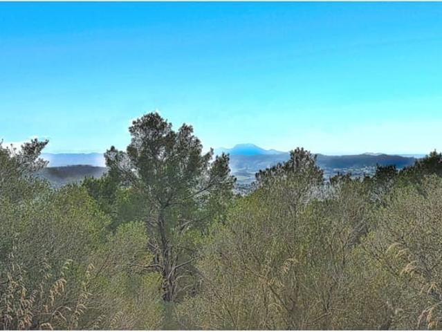 Finca/Casa Rural en venta en Manacor, Mallorca