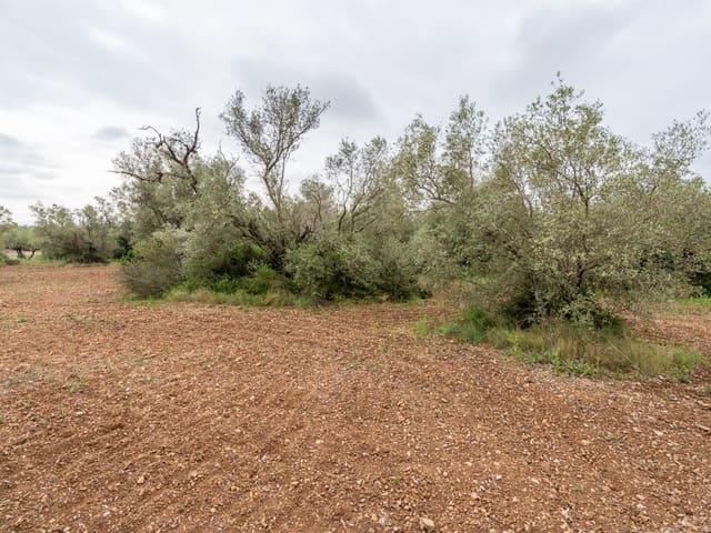 Finca/Casa Rural en venta en Mas de Barberans, Tarragona
