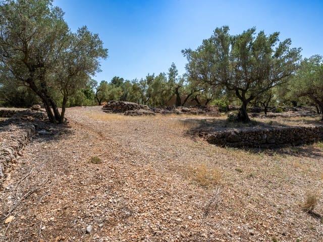 Finca/Casa Rural en venta en Mas de Barberans, Tarragona