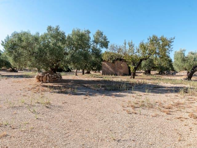 Finca/Casa Rural en venta en Mas de Barberans, Tarragona