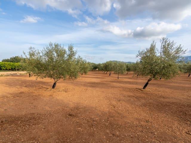 Finca/Casa Rural en venta en Masdenverge, Tarragona