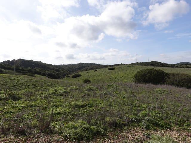 Finca/Casa Rural en venta en Medina Sidonia, Cádiz