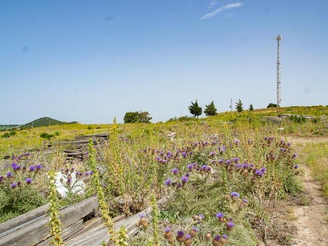 Finca/Casa Rural en venta en Medina Sidonia, Cádiz
