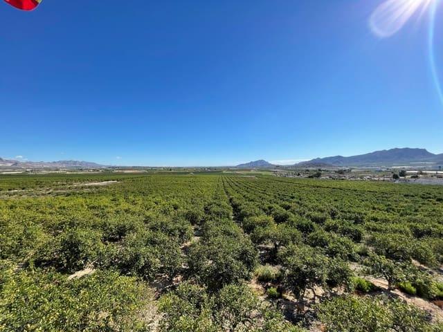 Finca/Casa Rural en venta en Santomera, Murcia