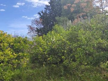 Finca/Casa Rural en venta en Murcia, Murcia