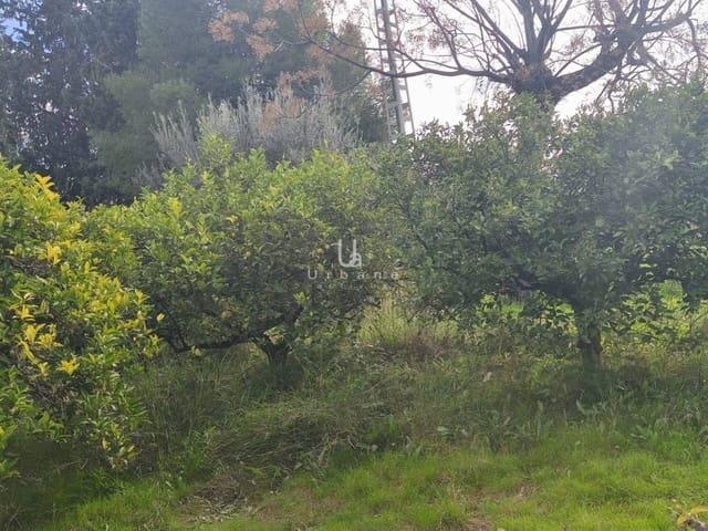 Finca/Casa Rural en venta en Murcia, Murcia