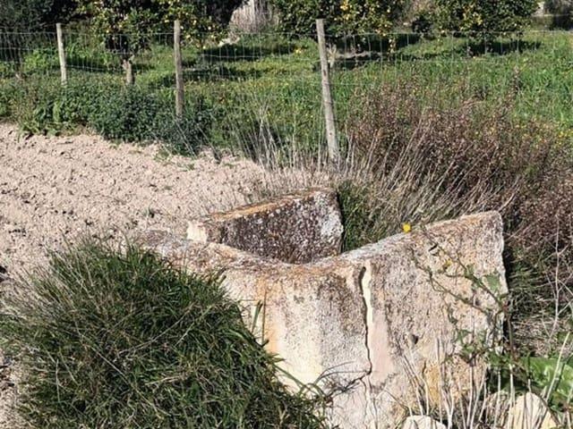 Finca/Casa Rural en venta en Muro, Mallorca