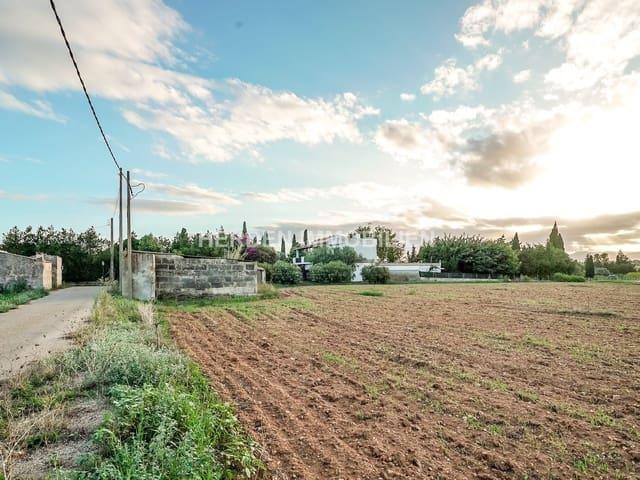 Finca/Casa Rural en venta en Muro, Mallorca