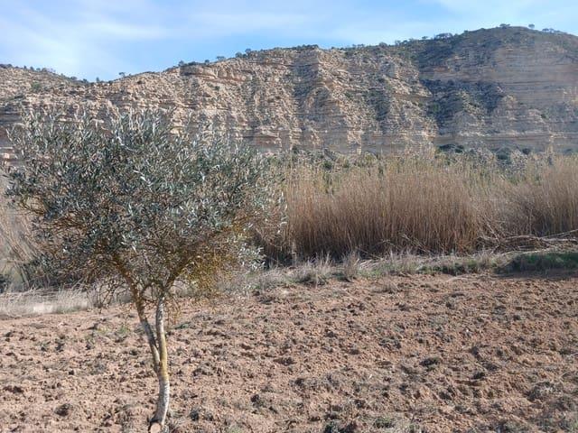 Finca/Casa Rural en venta en Nonaspe, Zaragoza