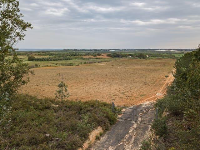 Finca/Casa Rural en venta en Niebla, Huelva