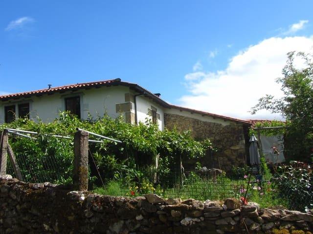 Finca/Casa Rural en venta en Sober, Lugo