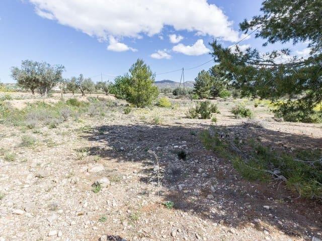 Finca/Casa Rural en venta en Sax, Alicante