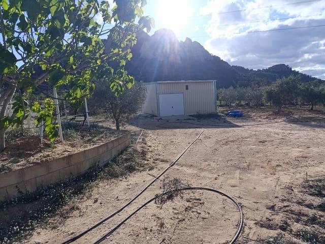 Finca/Casa Rural en venta en Sax, Alicante