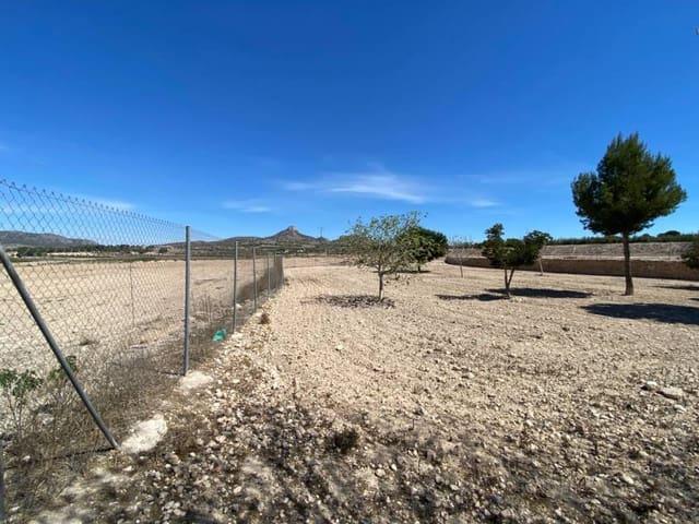 Finca/Casa Rural en venta en Salinas, Alicante