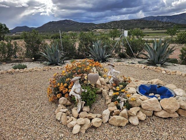 Finca/Casa Rural en venta en Salinas, Alicante