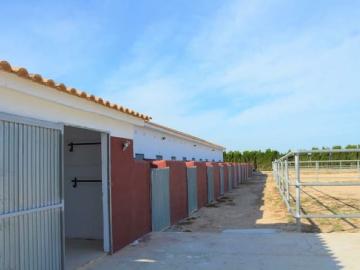 Finca/Casa Rural en venta en San Miguel de Salinas, Alicante Costa Blanca