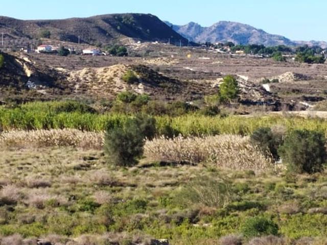 Finca/Casa Rural en venta en San Miguel de Salinas, Alicante Costa Blanca