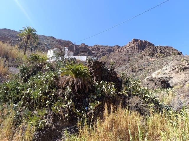 Finca/Casa Rural en venta en San Bartolomé de Tirajana, Gran Canaria