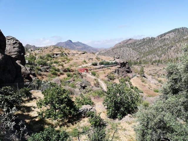 Finca/Casa Rural en venta en San Bartolomé de Tirajana, Gran Canaria