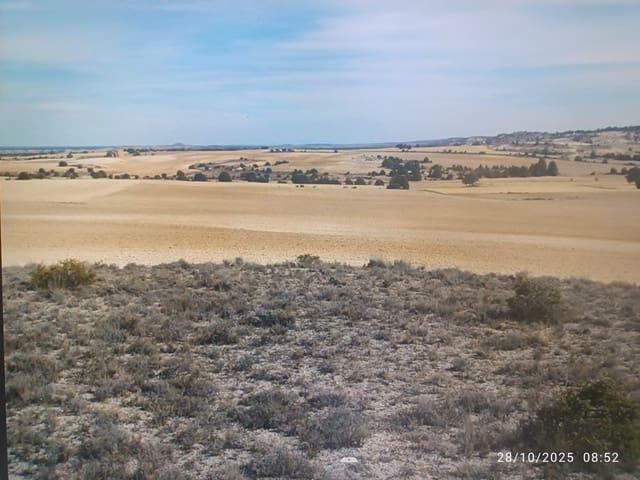 Finca/Casa Rural en venta en San Esteban de Gormaz, Soria