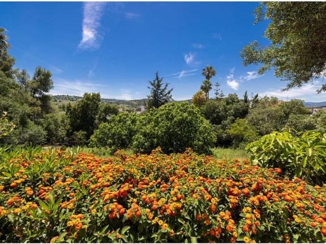 Finca/Casa Rural en venta en Jimena de la Frontera, Cádiz