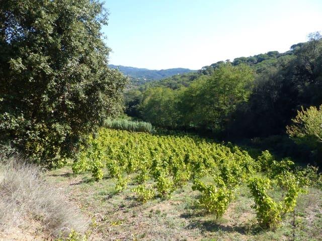 Finca/Casa Rural en venta en Sant Iscle de Vallalta, Barcelona Costa Maresme