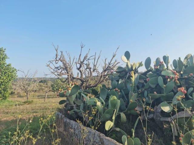 Finca/Casa Rural en venta en Sant Llorenç des Cardassar, Mallorca