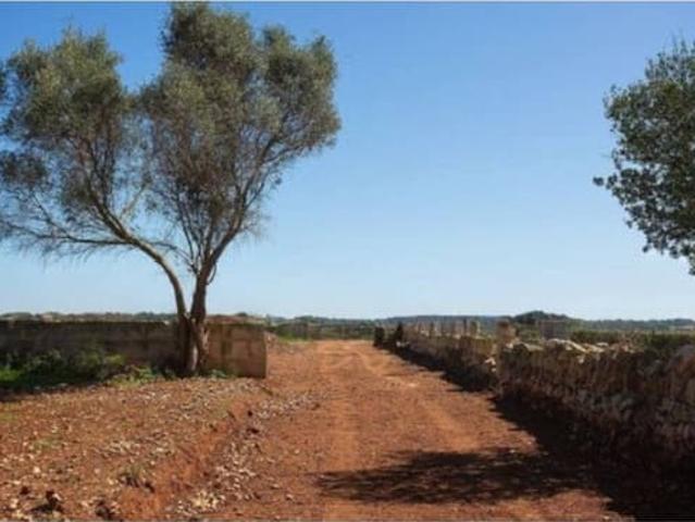 Finca/Casa Rural en venta en Sant Llorenç des Cardassar, Mallorca