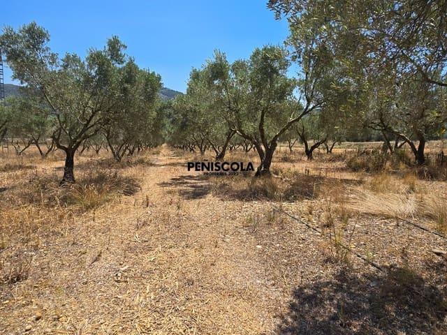 Finca/Casa Rural en venta en Sant Mateu, Castellón
