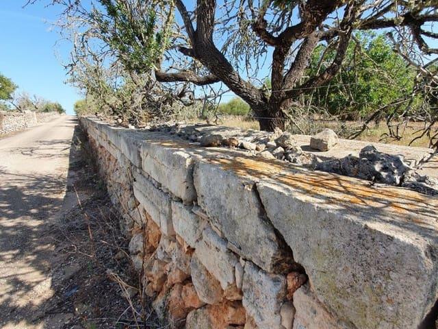 Finca/Casa Rural en venta en Santa Margalida, Mallorca