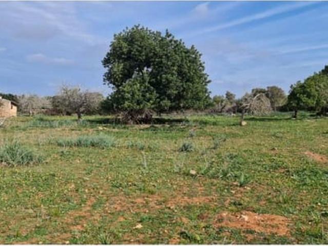 Finca/Casa Rural en venta en Santa Margalida, Mallorca