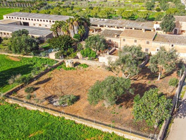Finca/Casa Rural en venta en Ses Salines, Mallorca