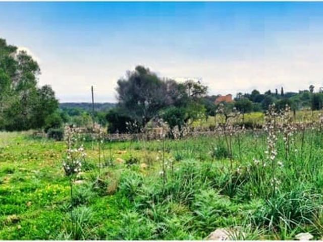 Finca/Casa Rural en venta en S'Illot, Mallorca