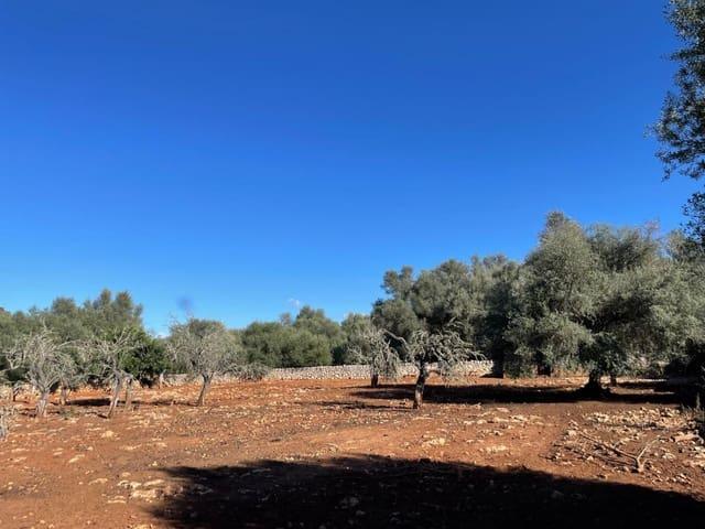 Finca/Casa Rural en venta en Sineu, Mallorca
