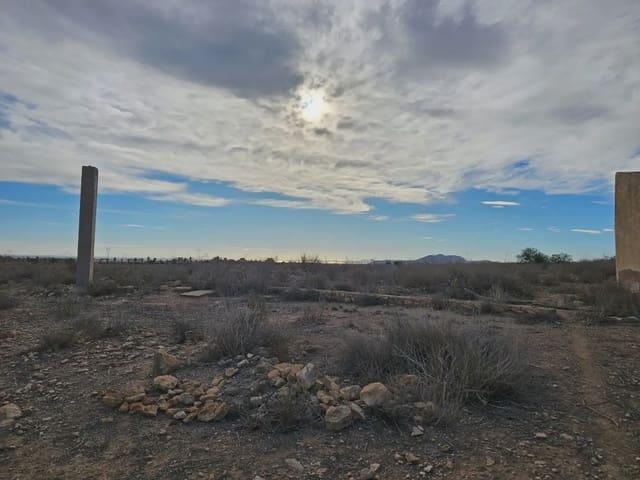 Finca/Casa Rural en venta en Sucina, Murcia