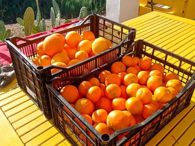 Finca/Casa Rural en venta en Polop, Alicante Costa Blanca