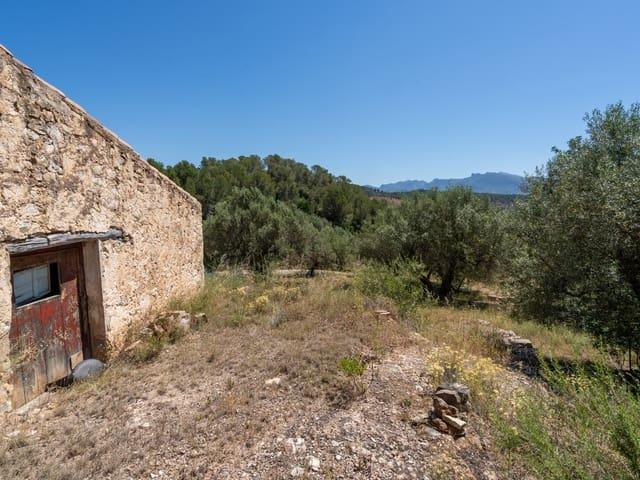 Finca/Casa Rural en venta en Paüls, Tarragona