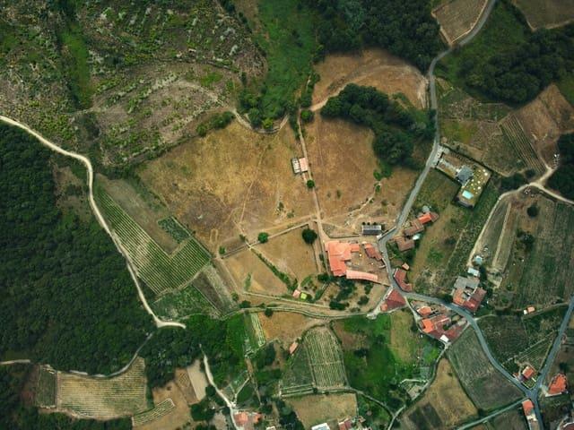 Finca/Casa Rural en venta en Pantón, Lugo