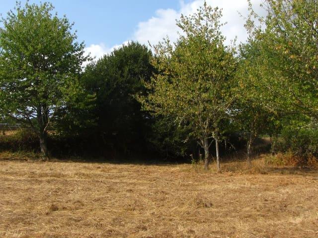 Finca/Casa Rural en venta en Pantón, Lugo