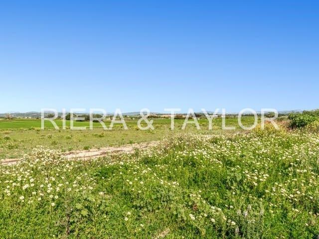 Finca/Casa Rural en venta en Petra, Mallorca