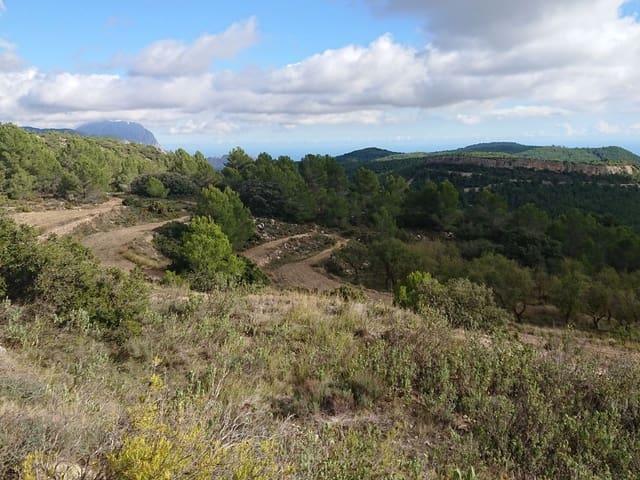 Finca/Casa Rural en venta en Penàguila, Alicante
