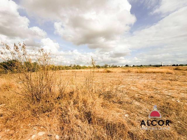 Finca/Casa Rural en venta en Peñíscola, Castellón Costa Azahar
