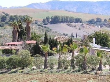 Pizarra, Málaga, Andalucía, Andalucía