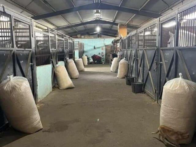 Finca/Casa Rural en venta en Pilas, Sevilla