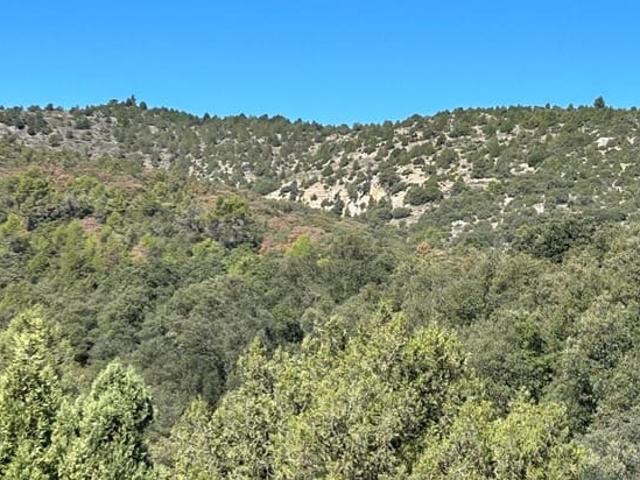 Finca/Casa Rural en venta en El Toro, Castellón