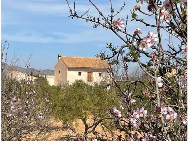 Finca/Casa Rural en venta en Raspay, Murcia