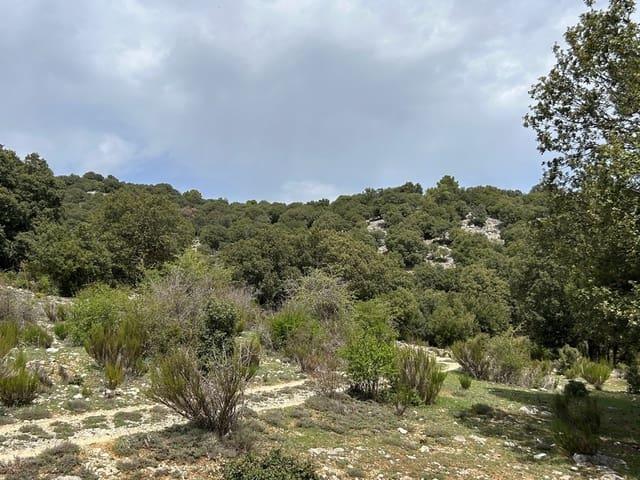 Finca/Casa Rural en venta en Puebla de Don Fadrique, Granada