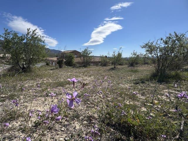 Finca/Casa Rural en venta en Purchena, Almería