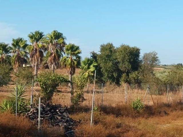 Finca/Casa Rural en venta en Rociana del Condado, Huelva